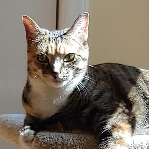 Meet your Posher, Aisa